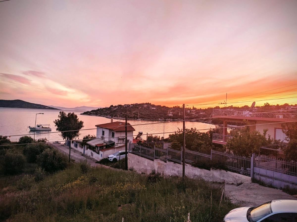 Iliakti Relaxing Seaside Villa Salamina Exterior photo