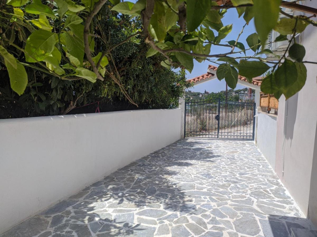 Iliakti Relaxing Seaside Villa Salamina Exterior photo